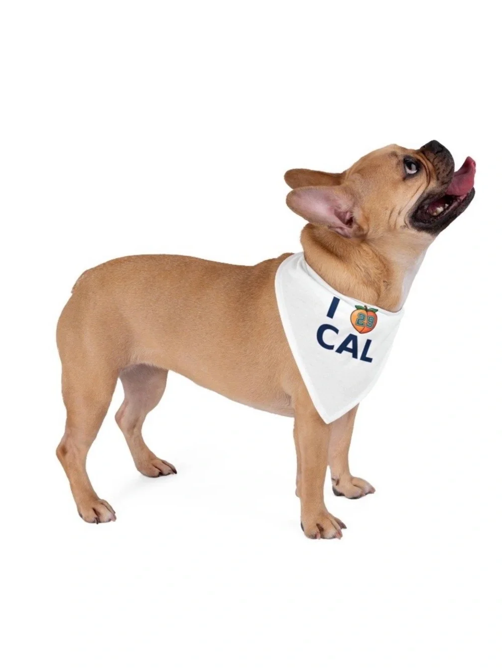 Seattle Mariners Baseball I ❤️ CAL Raleigh Pet Dog Puppy Bandana Scarf New